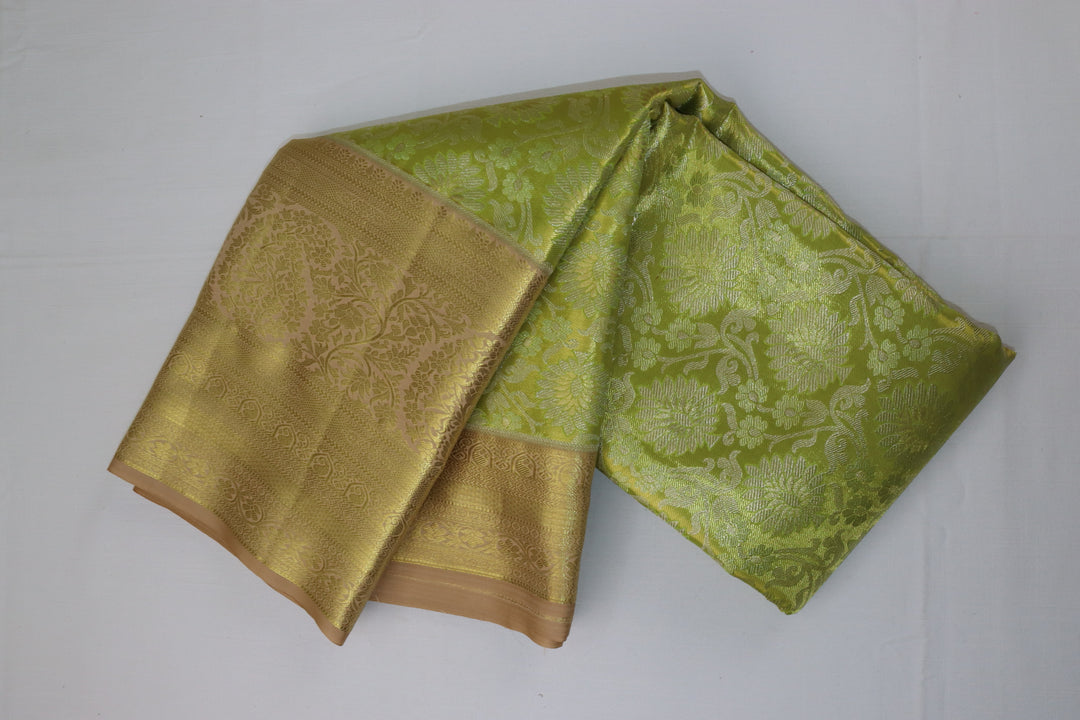 Regal Pastel Green Kanjipuram Saree