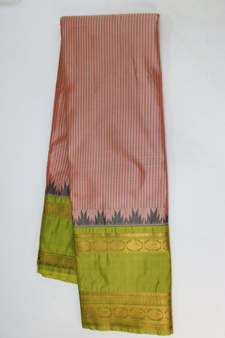 Captivating Salmon Kanjipuram Saree