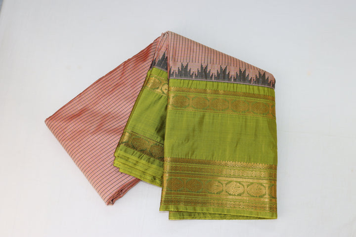 Captivating Salmon Kanjipuram Saree